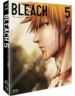Bleach - Arc 5: The Entry (Eps 92-109) (3 Blu-Ray) (First Press)