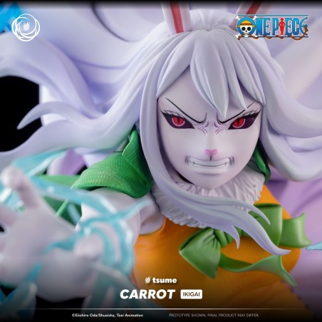 One Piece Carrot Ikigai