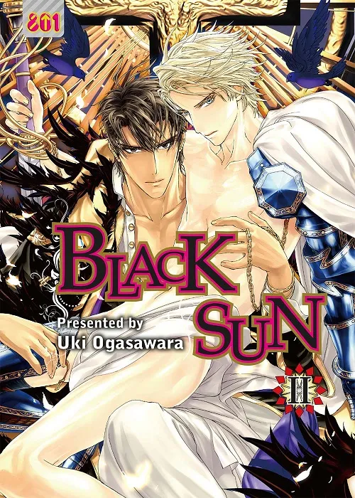 BLACK SUN N.2